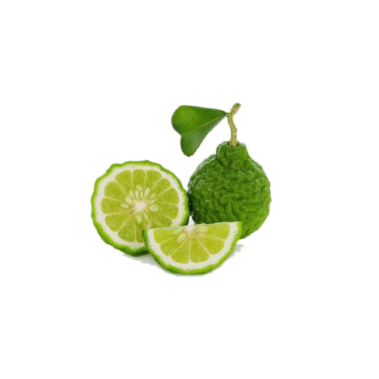 History and uses of Bergamot Essential Oils