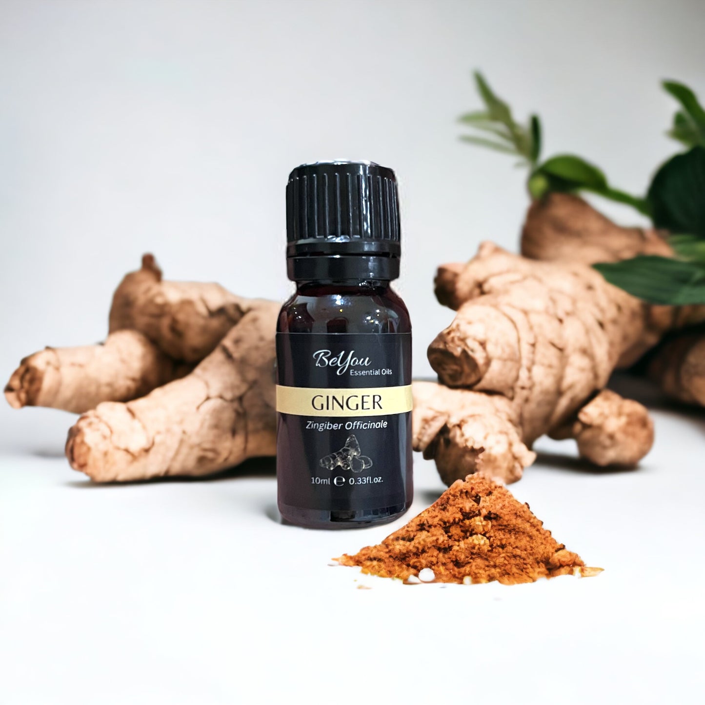 Ginger Pure Essential Oil